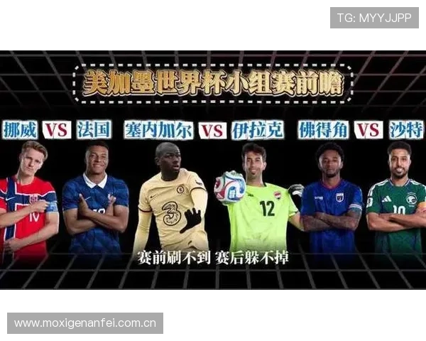 世界杯挪威VS法国比赛现场观赛攻略：最佳观赛时间、交通安排及现场互动体验